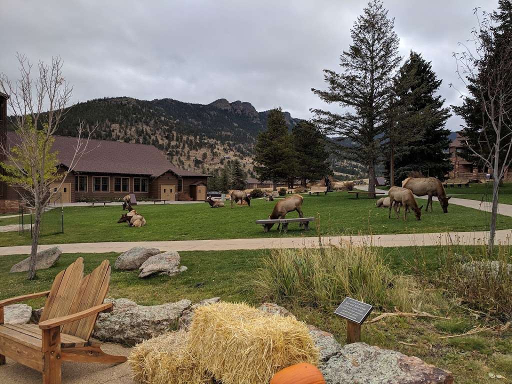 Eagle Cliff Lodge | Longhouse Way, Estes Park, CO 80517, USA | Phone: (800) 777-9622