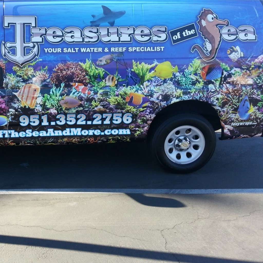 Treasures of the Sea | 2955 Van Buren Boulevard H-3, Riverside, CA 92503, USA | Phone: (951) 352-2756