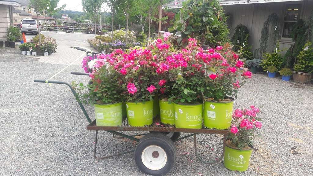 Northeast Nursery Garden Center | 234 Newbury St, Peabody, MA 01960, USA | Phone: (978) 535-6550