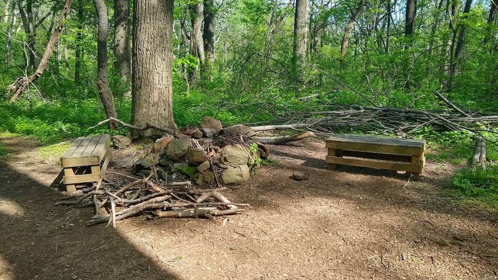 Mosby Campsite | Appalachian Trail, Linden, VA 22642, USA