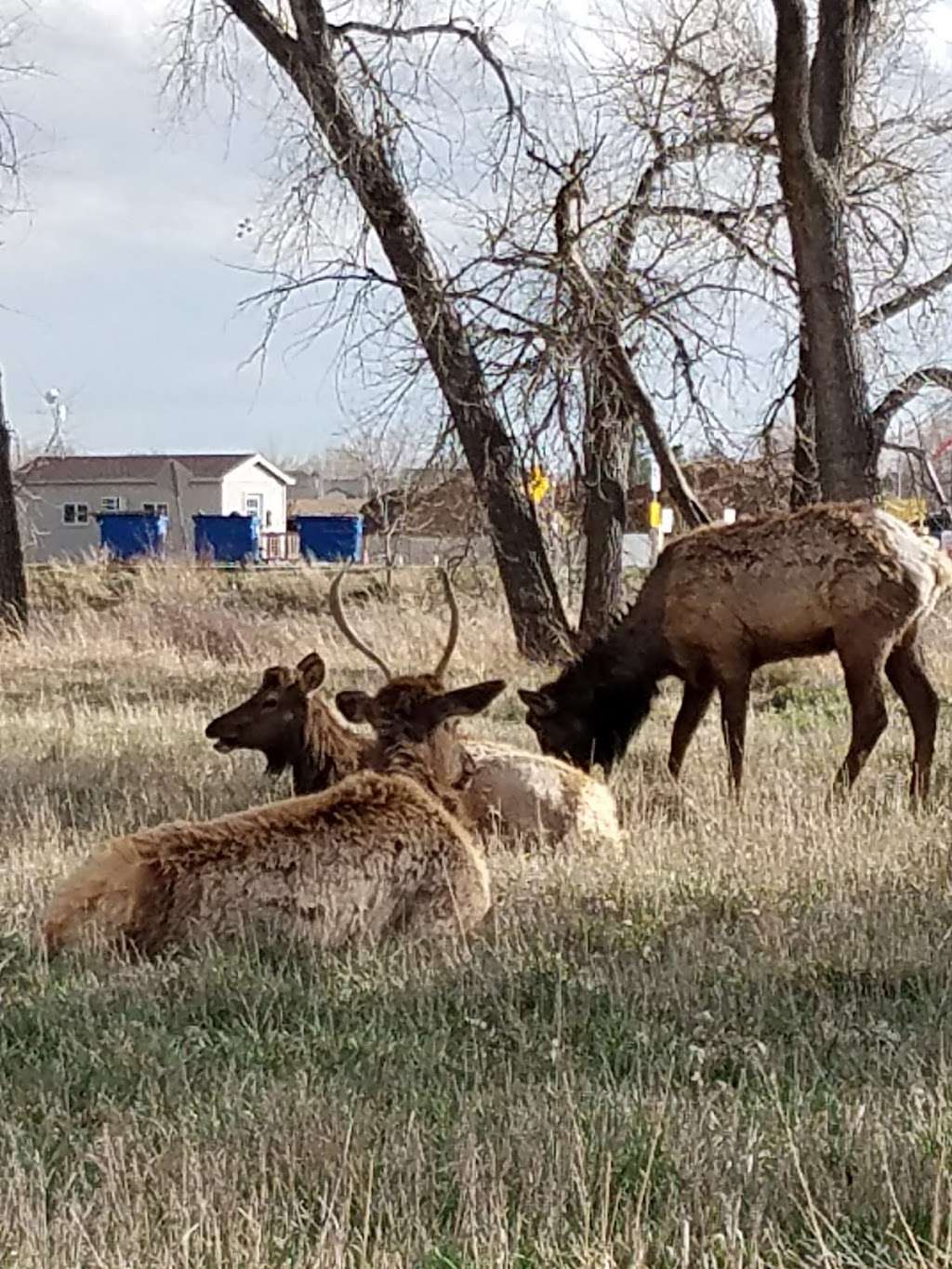 Rivers Edge Natural Area | 960 W 1st St, Loveland, CO 80537 | Phone: (970) 962-2327