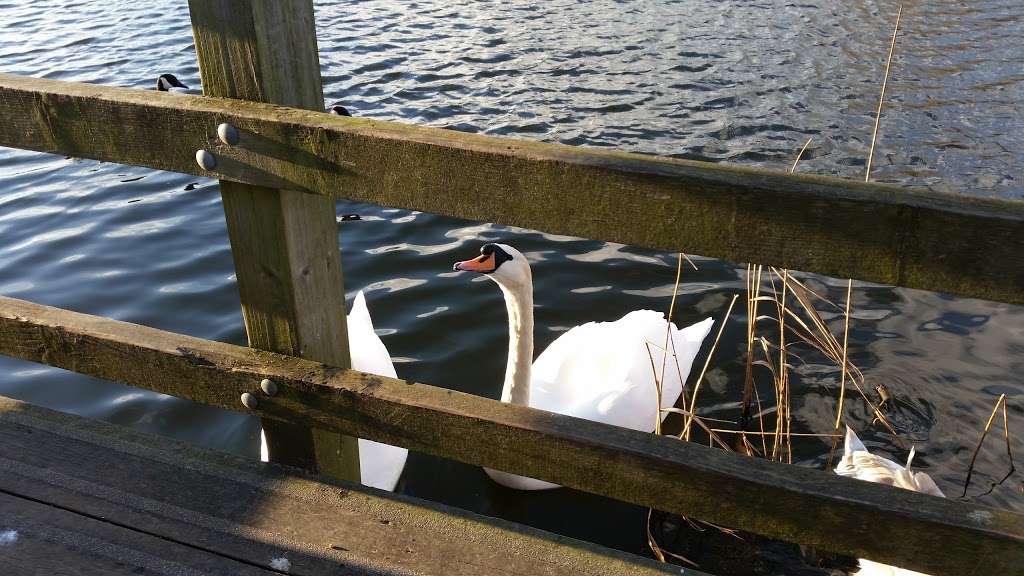 Clayton Hill Lake | Nazeing, Waltham Abbey EN9 2EX, UK