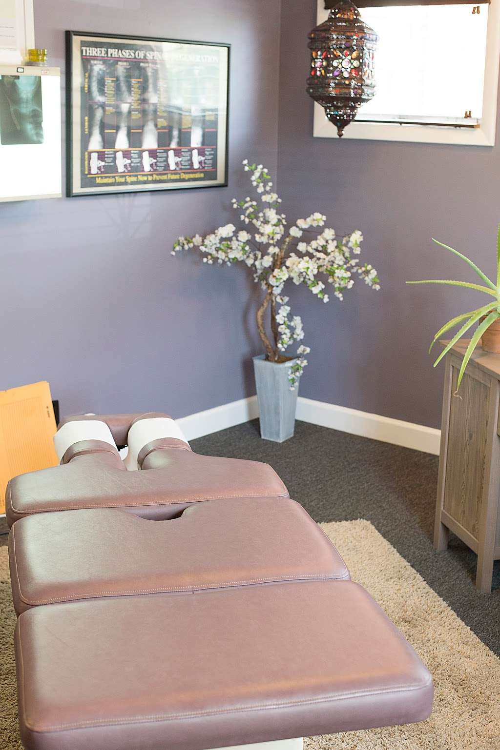 Barrington Chiropractic & Massage | 836 S Northwest Hwy, Barrington, IL 60010, USA | Phone: (847) 381-2058