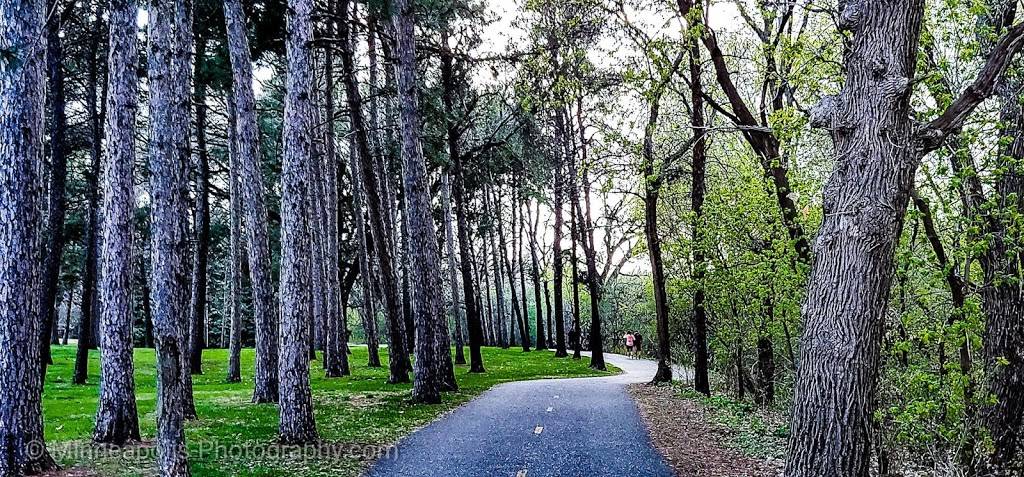 Palmer Lake Environmental Nature Area | 2800 69th Ave N, Brooklyn Center, MN 55430 | Phone: (763) 569-3400