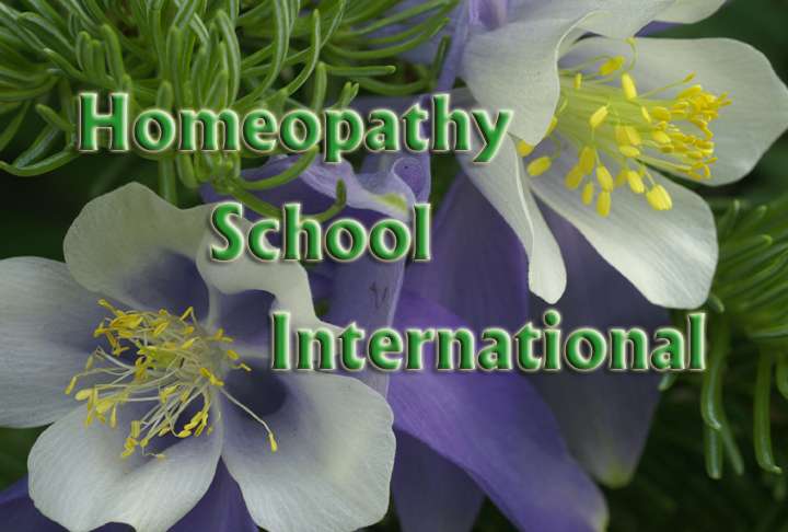 Homeopathy School International | 727 N Sheridan Ave, Loveland, CO 80537, USA | Phone: (970) 685-4613