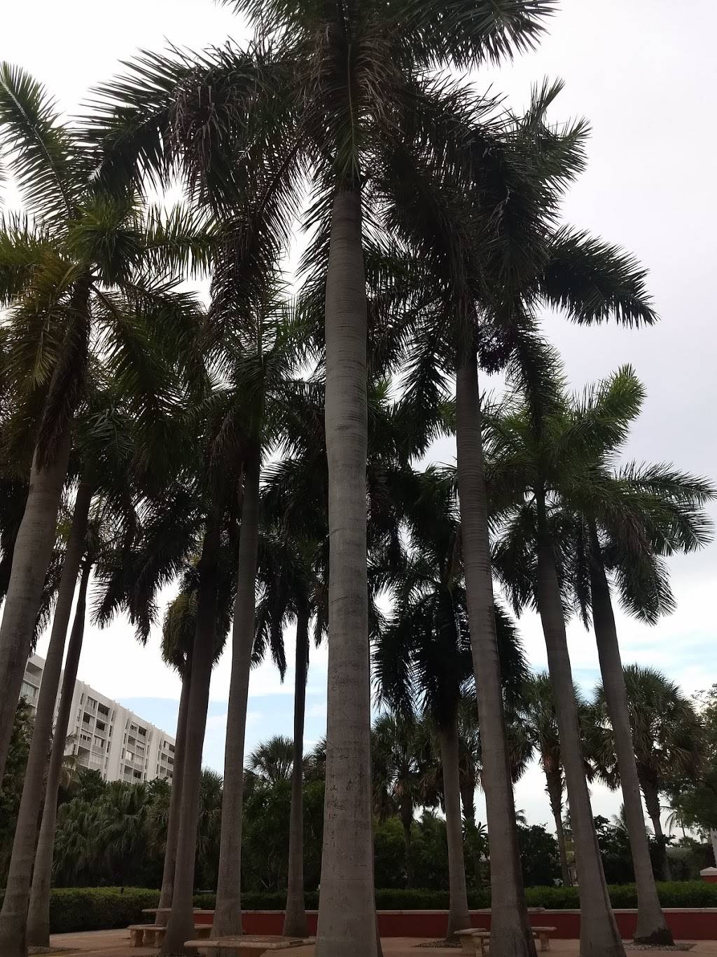 Beach Park | 650 Ocean Dr, Key Biscayne, FL 33149, USA | Phone: (305) 365-8900 Beach Park | 650 Ocean Dr, Key Biscayne, FL 33149, USA | Phone: (305) 365-8900