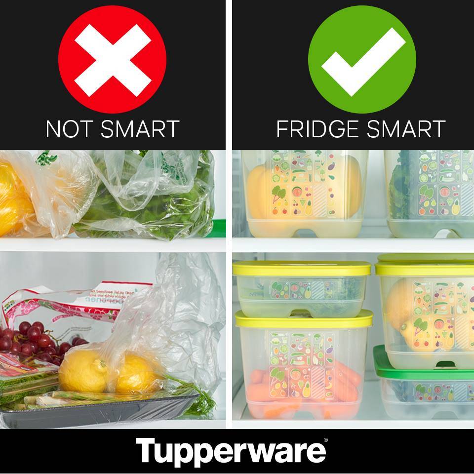 Tupperware with Jeanette | 2430 Luddington Dr, Toledo, OH 43615, USA | Phone: (419) 764-4342