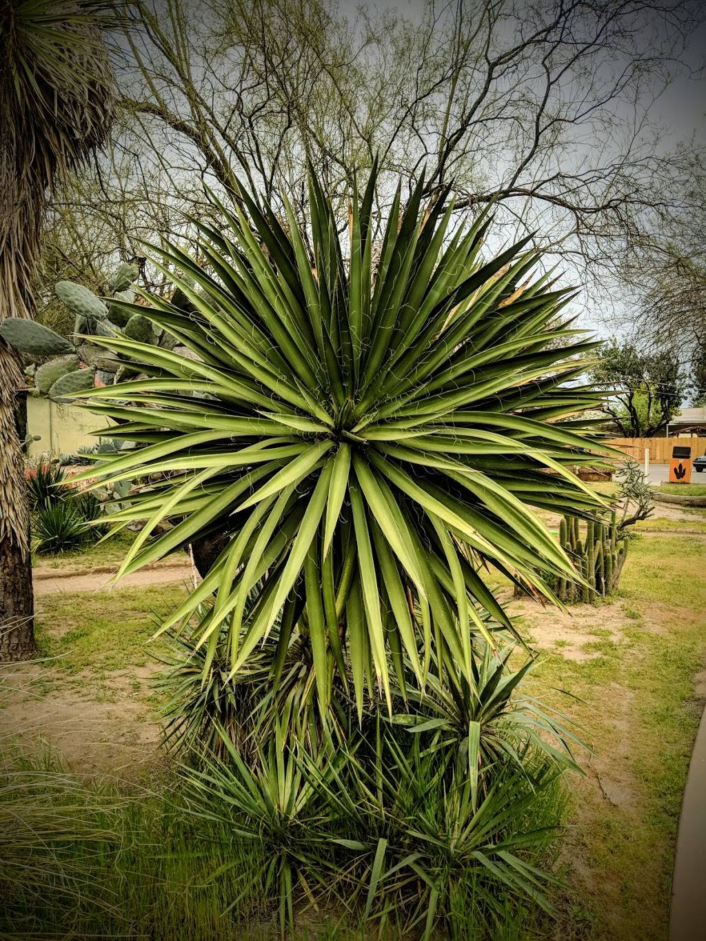 The Deutsch Cactus Garden | 1944 N Winery Ave, Fresno, CA 93703, USA | Phone: (559) 251-5533