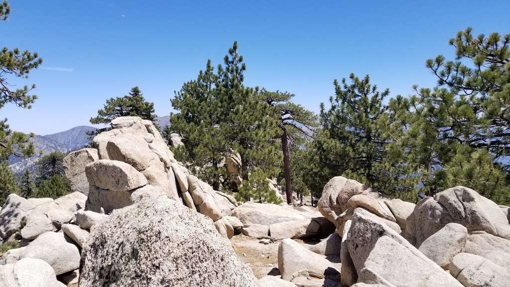 Mt Waterman Trailhead | Angeles National Forest,, Angeles Crest Hwy, Pearblossom, CA 93553 | Phone: (626) 574-1613