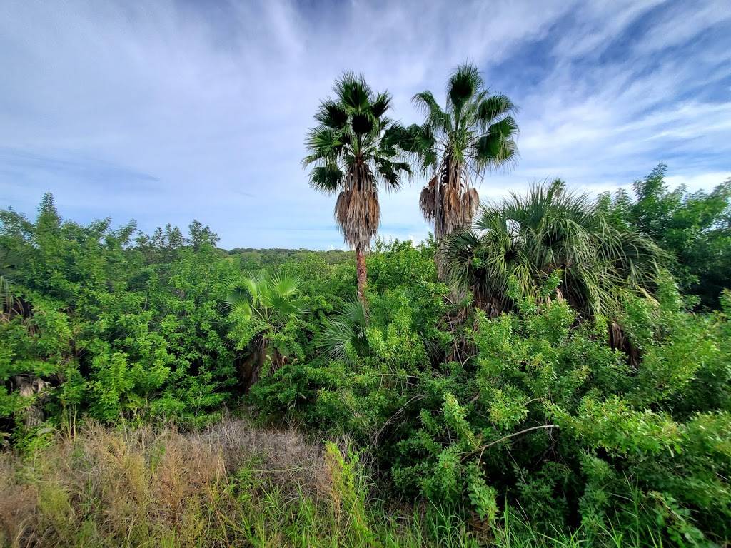 Clam Bayou Nature Park | 29th Ave S & Miriam St S, Gulfport, FL 33711, USA | Phone: (727) 893-7441