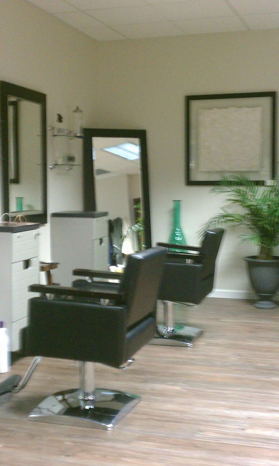 Rich Winston Salon | 166 W Union St # 2, Kingston, PA 18704, USA | Phone: (570) 287-2573