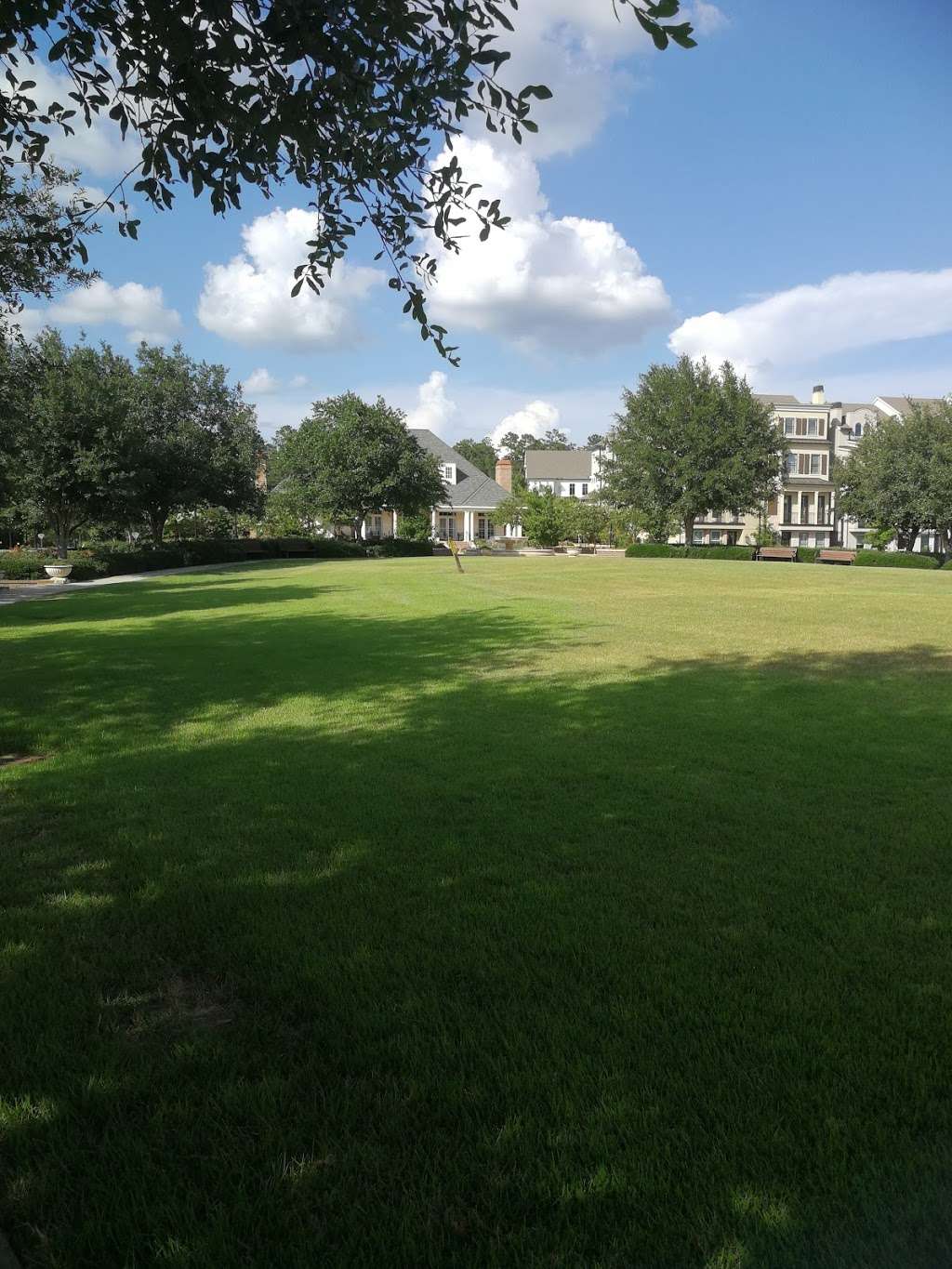 The Cove Park | 31 Leeward Cove Dr, The Woodlands, TX 77381, USA