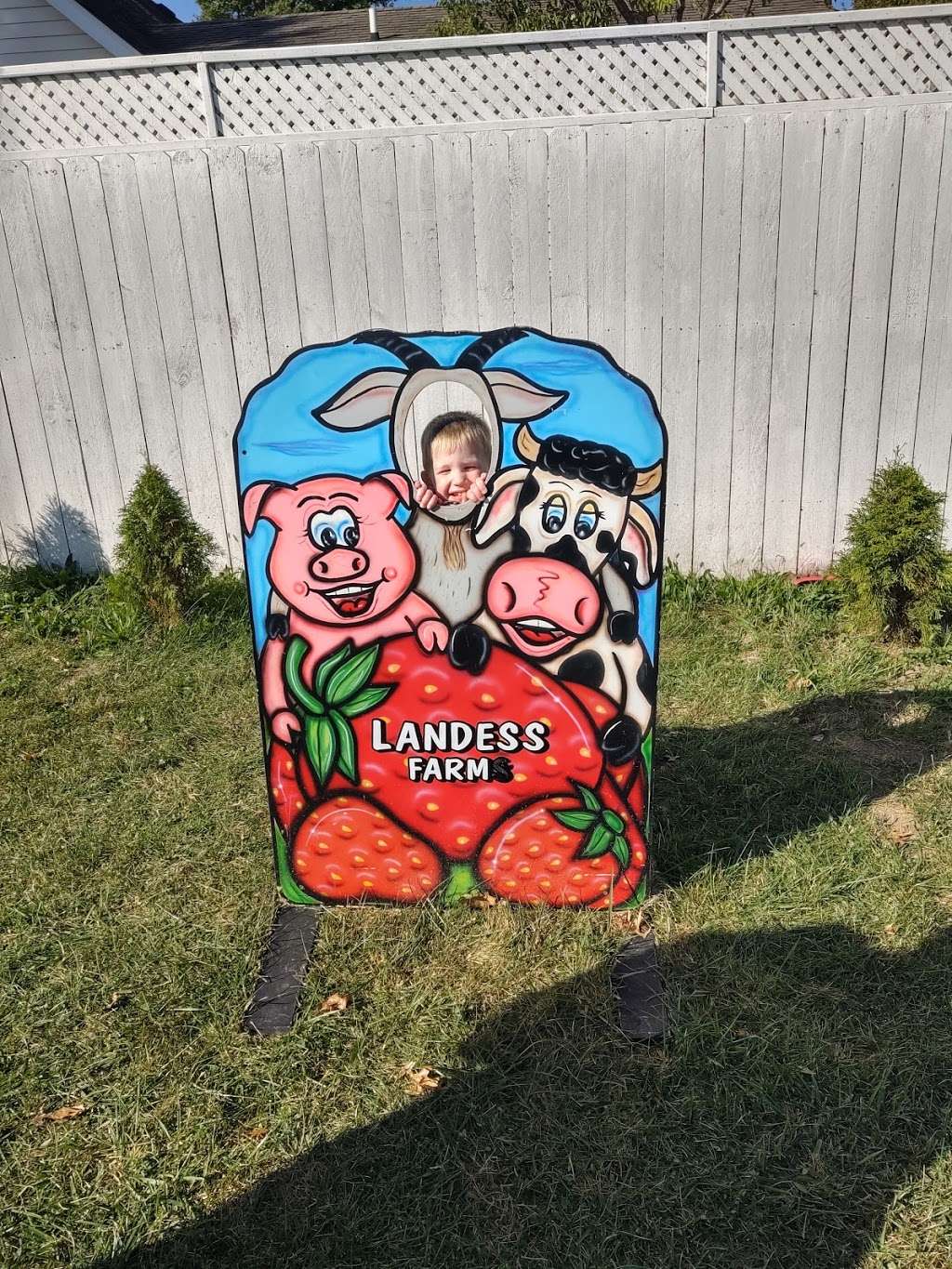 Landess Farm | 6000 W Co Rd 700 S, Daleville, IN 47334, USA | Phone: (765) 759-9937