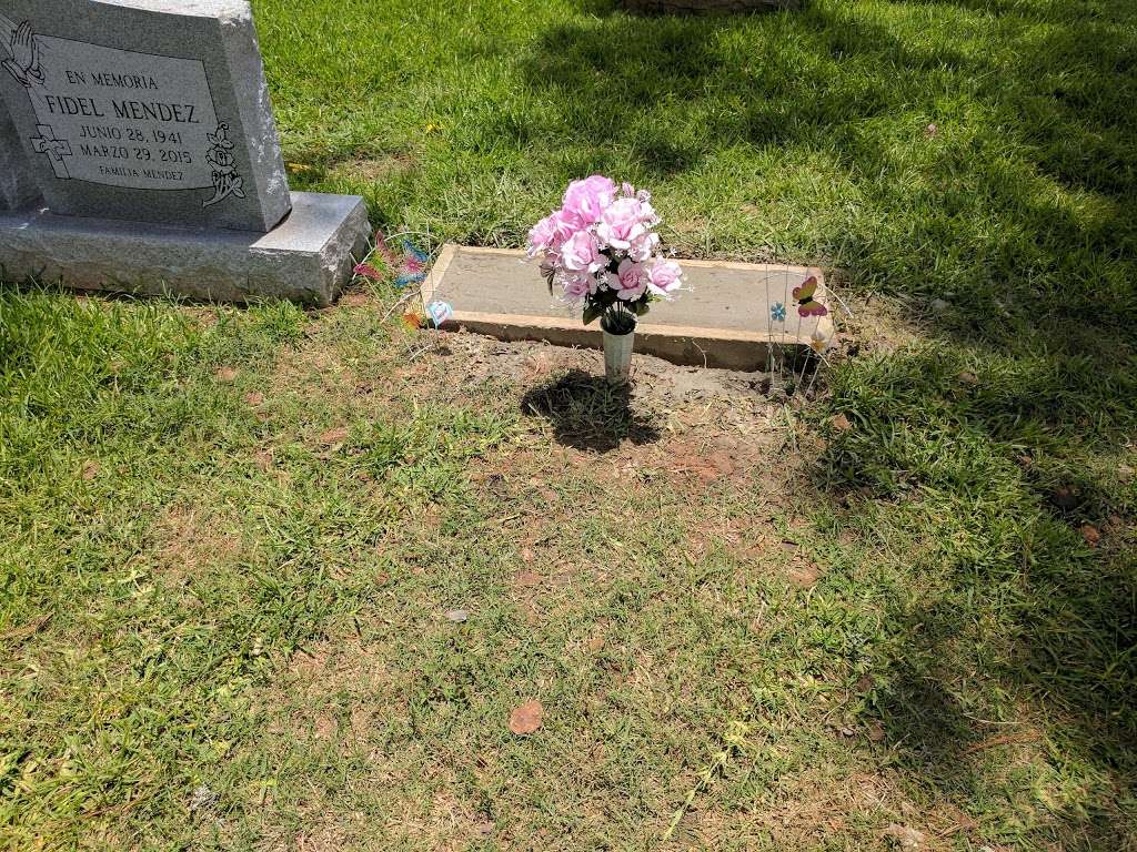 Hollywood Cemetery | 3506 N Main St, Houston, TX 77009, USA | Phone: (713) 227-5109