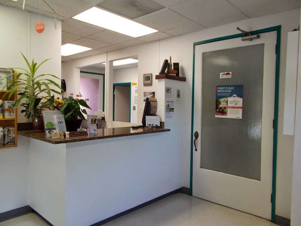 Cupertino Animal Hospital | 10026 Peninsula Ave, Cupertino, CA 95014 | Phone: (408) 252-6380