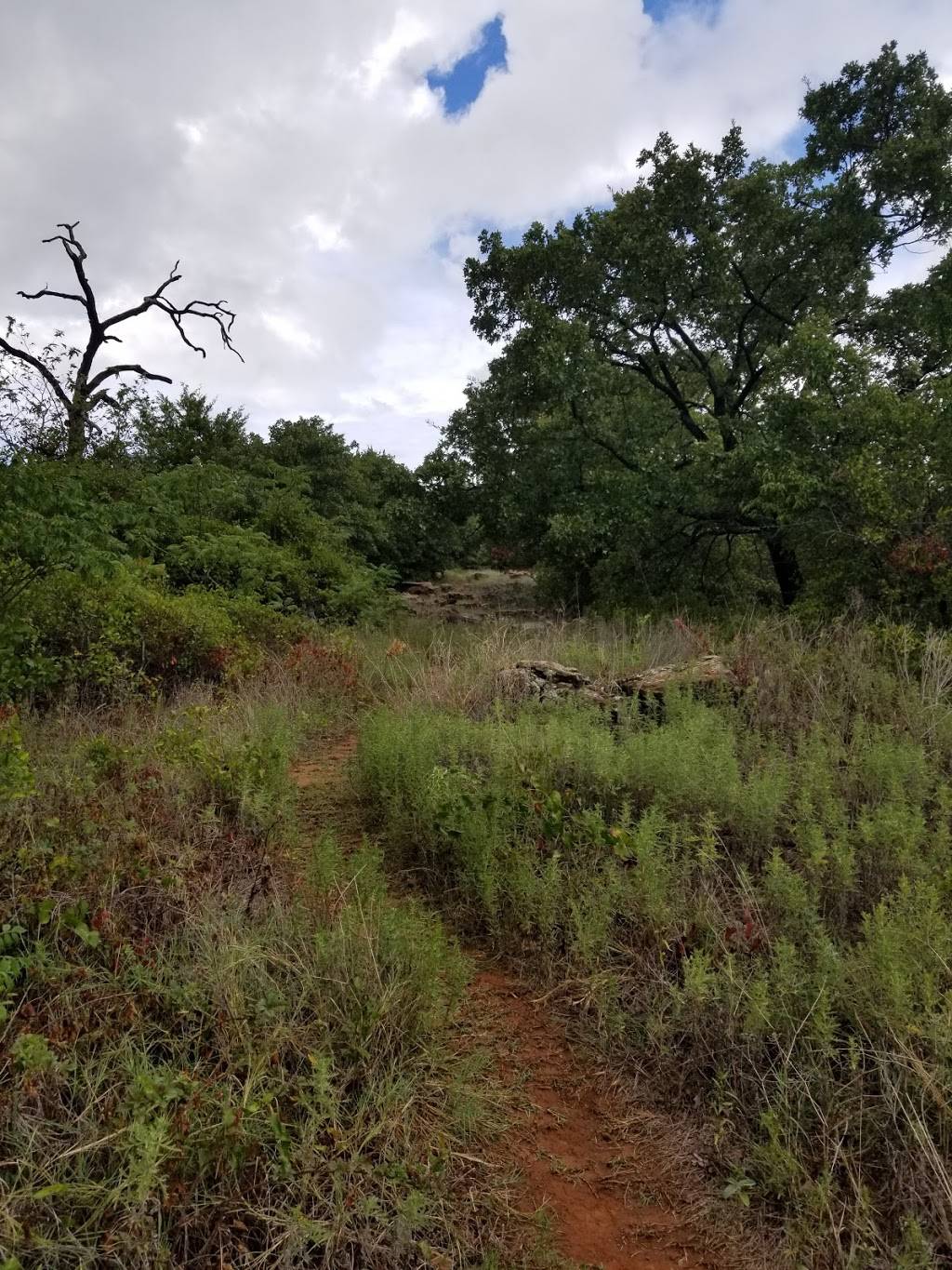 Southwest Nature Preserve | 5201 Bowman Springs Rd, Arlington, TX 76017 | Phone: (817) 459-5474