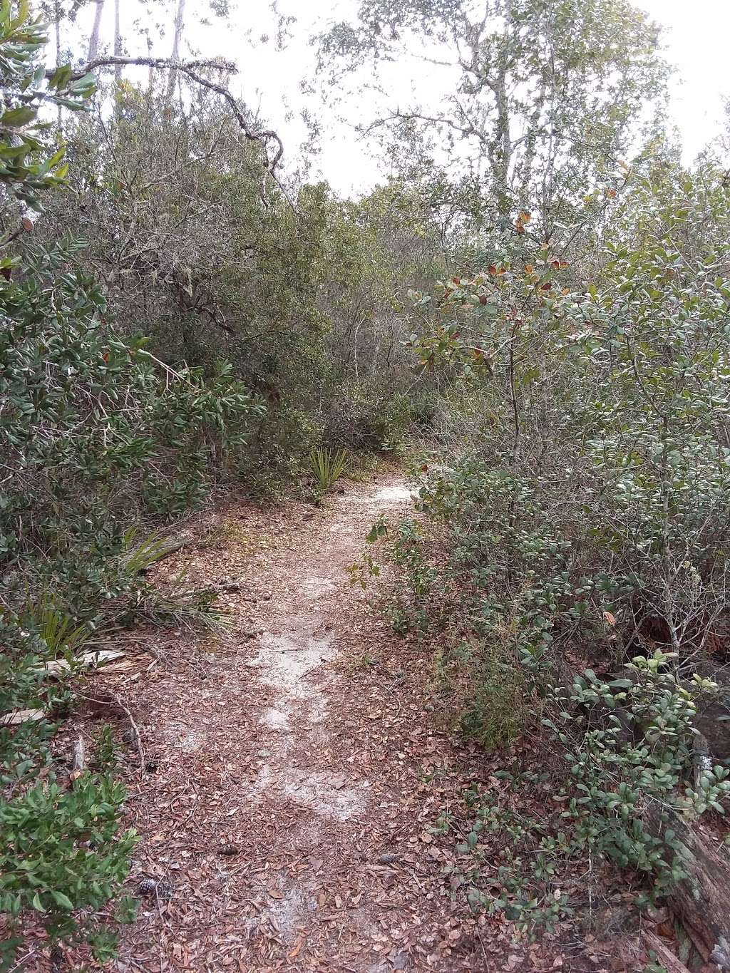 Lake Eaton Trail Head | Silver Springs, FL 34488, USA