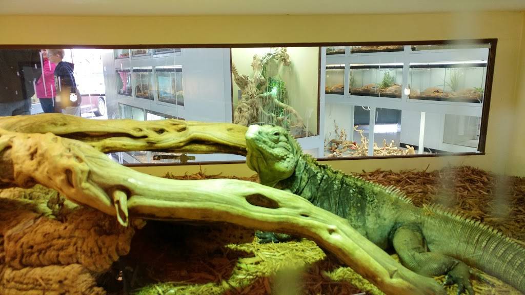 Arizona Reptile Center | 2025 W Broadway Rd #1, Mesa, AZ 85202, USA | Phone: (480) 835-6244