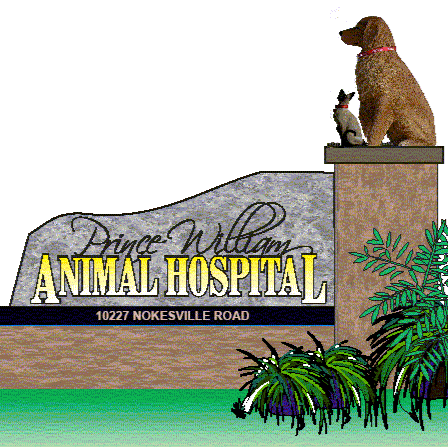 Prince William Animal Hospital | 10227 Nokesville Rd, Manassas, VA 20110, USA | Phone: (703) 361-5223