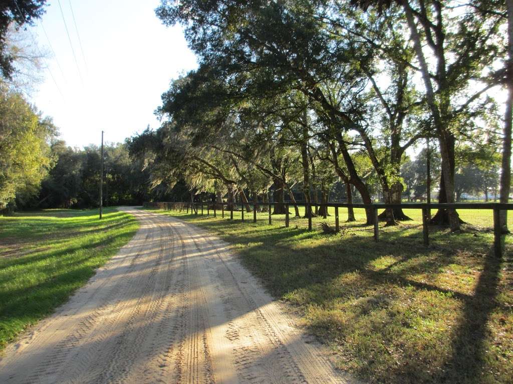 Deep Creek Stables | 2270 S Co Rd 3, Pierson, FL 32180, USA | Phone: (386) 985-0520