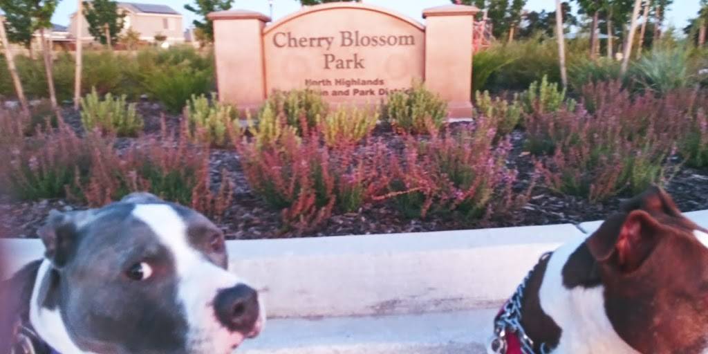 Cherry Blossom Park | Antelope, CA 95843, USA | Phone: (916) 332-7440