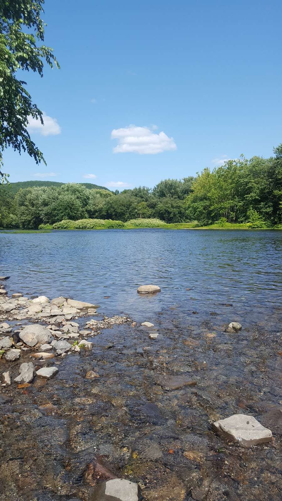 Kittatinny Canoes | 378 Route 6 and 209, Milford, PA 18337, USA | Phone: (800) 356-2852