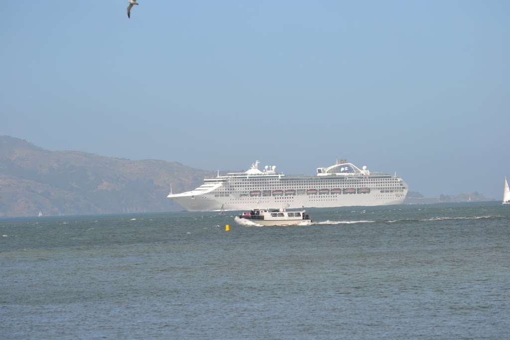 Visit Crissy Field | Golden Gate Bridge, San Francisco, CA, USA