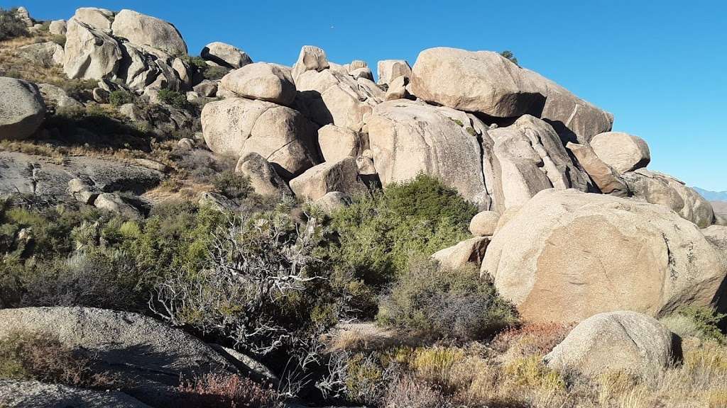 Bobcat Hollow Wildlife Reserve | Apple Valley, CA 92308, USA