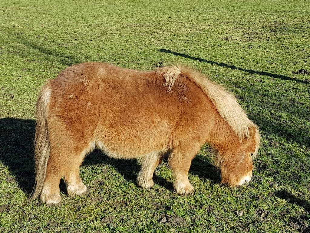 Hobbledown Adventure Farm Park and Zoo | Horton Ln, Epsom KT19 8PT, UK | Phone: 01372 848990