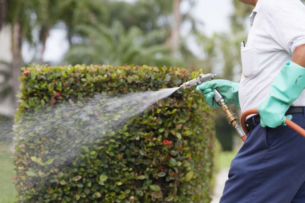 LoveBug Pest Control | 17170 Jordan Rd Ste. 402, Selma, TX 78154, USA | Phone: (210) 396-7100 LoveBug Pest Control | 17170 Jordan Rd Ste. 402, Selma, TX 78154, USA | Phone: (210) 396-7100