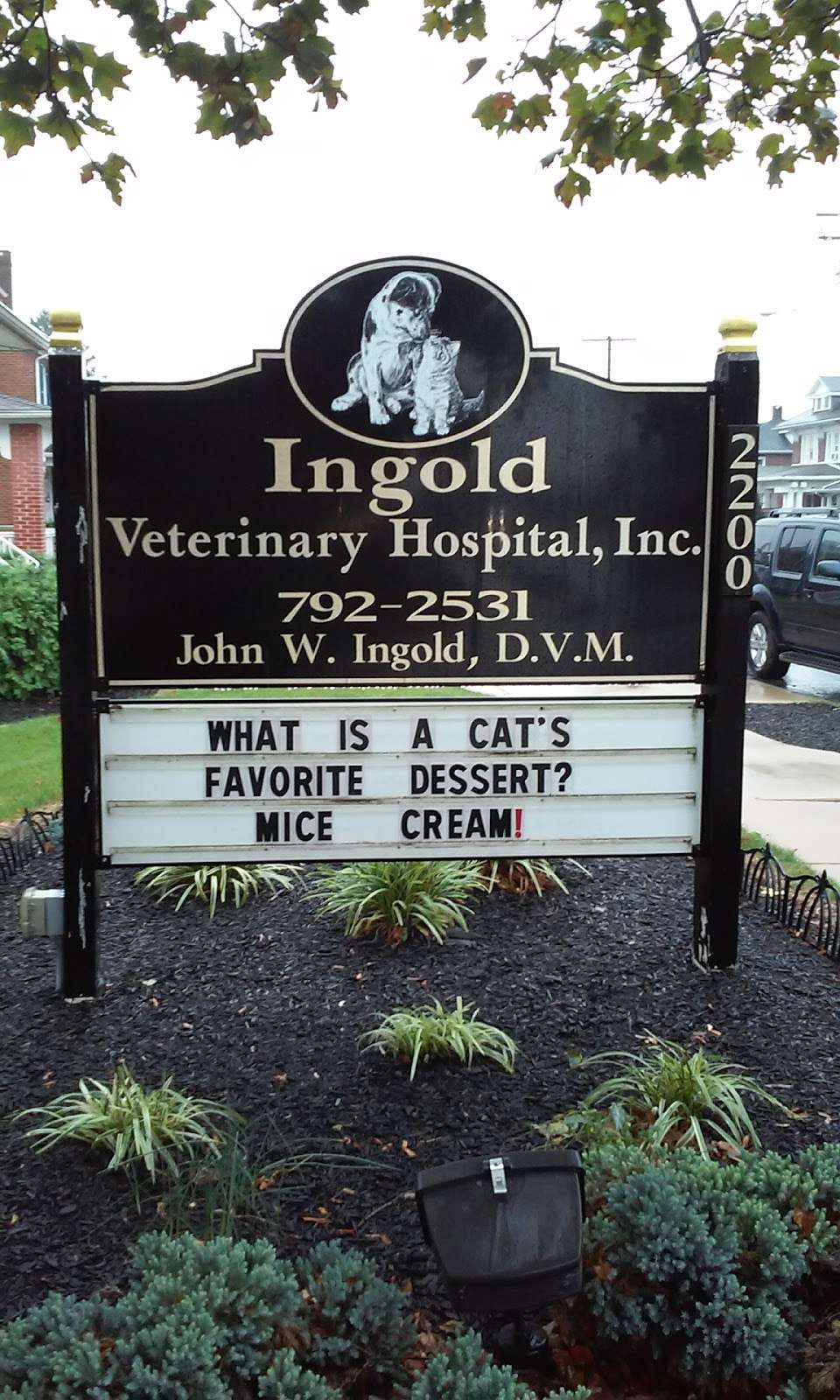 Ingold Veterinary Hospital | 2200 W Market St, York, PA 17404, USA | Phone: (717) 792-2531