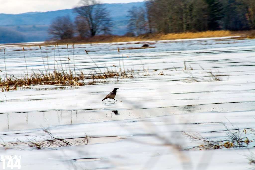 The Basha Kill Marsh | Wurtsboro, NY 12790, USA | Phone: (845) 754-0743