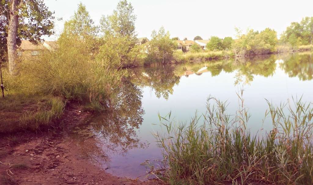 Signature Bluffs Natural Area | Poudre River Trail, Greeley, CO 80634