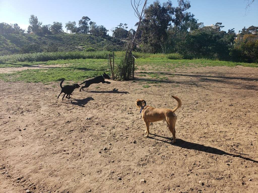 Morley Field Dog Park | 2225 Morley Field Dr, San Diego, CA 92104, USA | Phone: (619) 239-0512