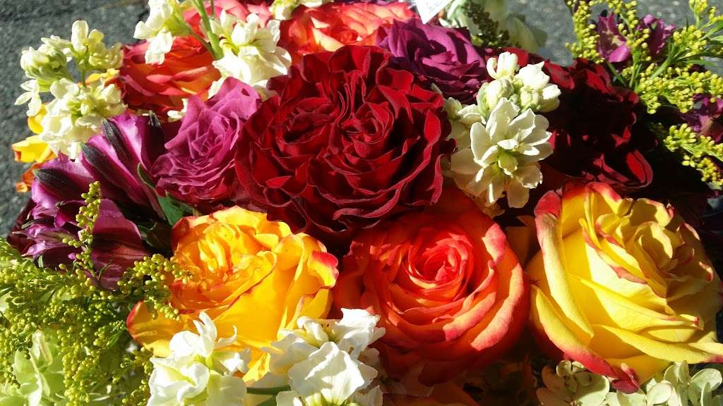 Haworth Flower Shop | 310 St Nicholas Ave, Haworth, NJ 07641, USA | Phone: (201) 385-5100