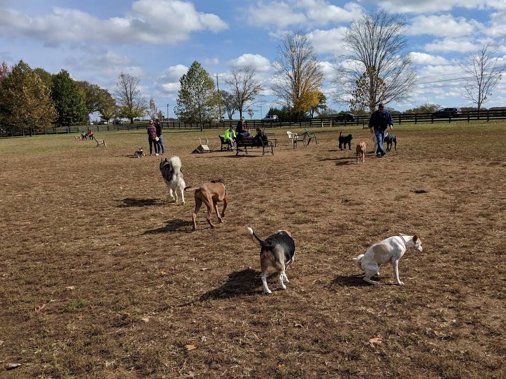 Edwin Warner Dog Park | 50 Vaughn Rd, Nashville, TN 37221, USA | Phone: (615) 862-8400