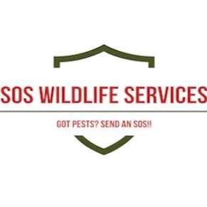 SOS Wildlife Services | 12345 Dumetz Rd, Los Angeles, CA 91364, USA | Phone: (747) 259-8410