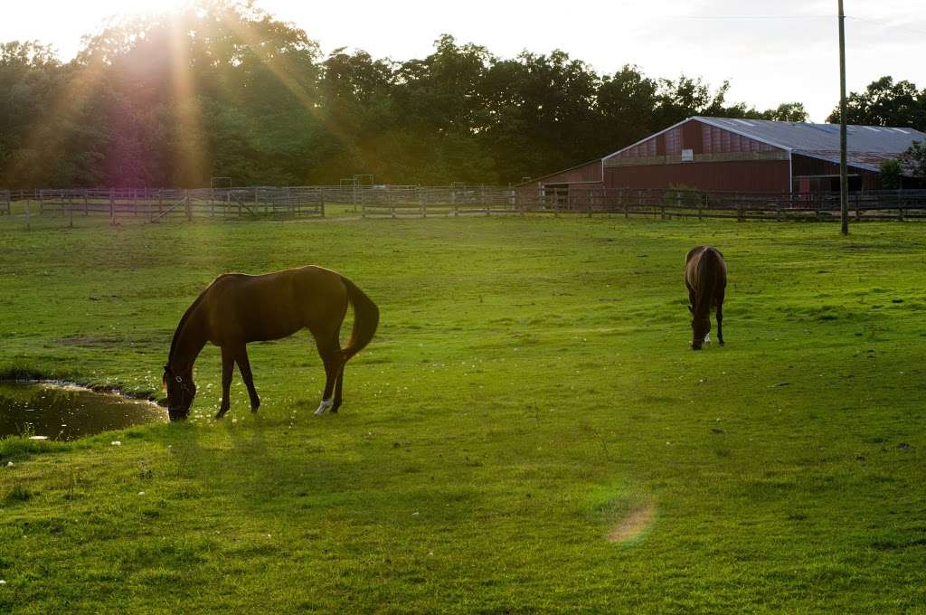 Criswood Farm and Tack Shop | 5304 Hoadly Rd, Manassas, VA 20112, USA | Phone: (703) 590-4224