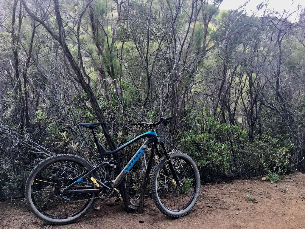 Backbone Trail | Yerba Buena Road, Malibu, CA 90265, USA