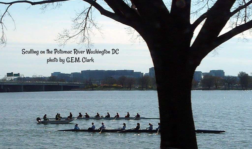 Potomac Riverside | East Potomac Park, 1100 Ohio Dr SW, Washington, DC 20242, USA