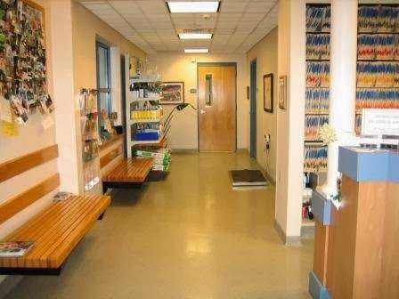 Thoreau Veterinary Hospital | 3300 Fox Hill Rd, Easton, PA 18045 | Phone: (610) 559-0728