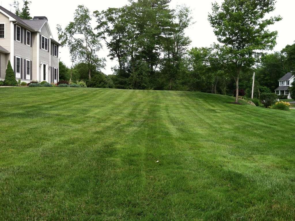 Lawn Dawg | 65 Ryan Dr #7f, Raynham, MA 02767, USA | Phone: (508) 844-4040