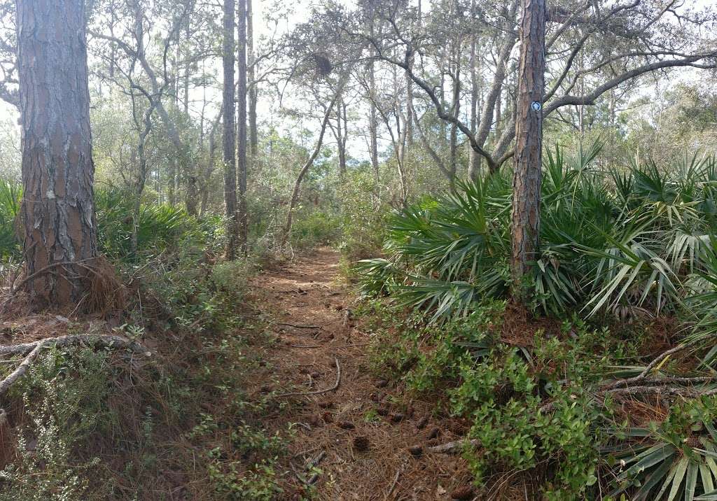 Lake Proctor Wilderness Area | 920 FL-46, Geneva, FL 32732, USA | Phone: (407) 349-0769