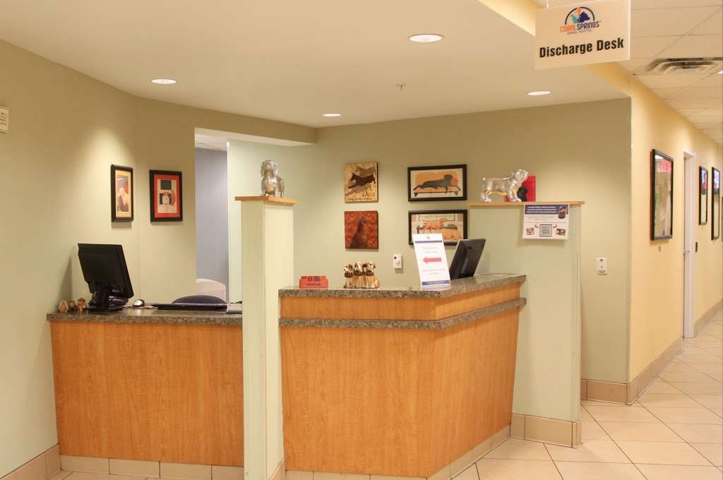 Coral Springs Animal Hospital | 2160 N University Dr, Coral Springs, FL 33071, USA | Phone: (954) 753-1800