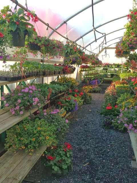 Tilleys Nursery | 111 E Fairmount St, Coopersburg, PA 18036, USA | Phone: (610) 282-4784