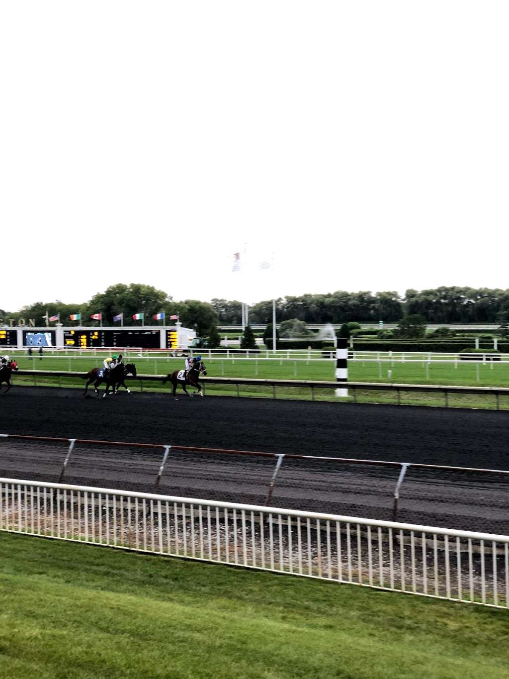 Arlington park race track | 2121 Euclid Ave #238, Rolling Meadows, IL 60008