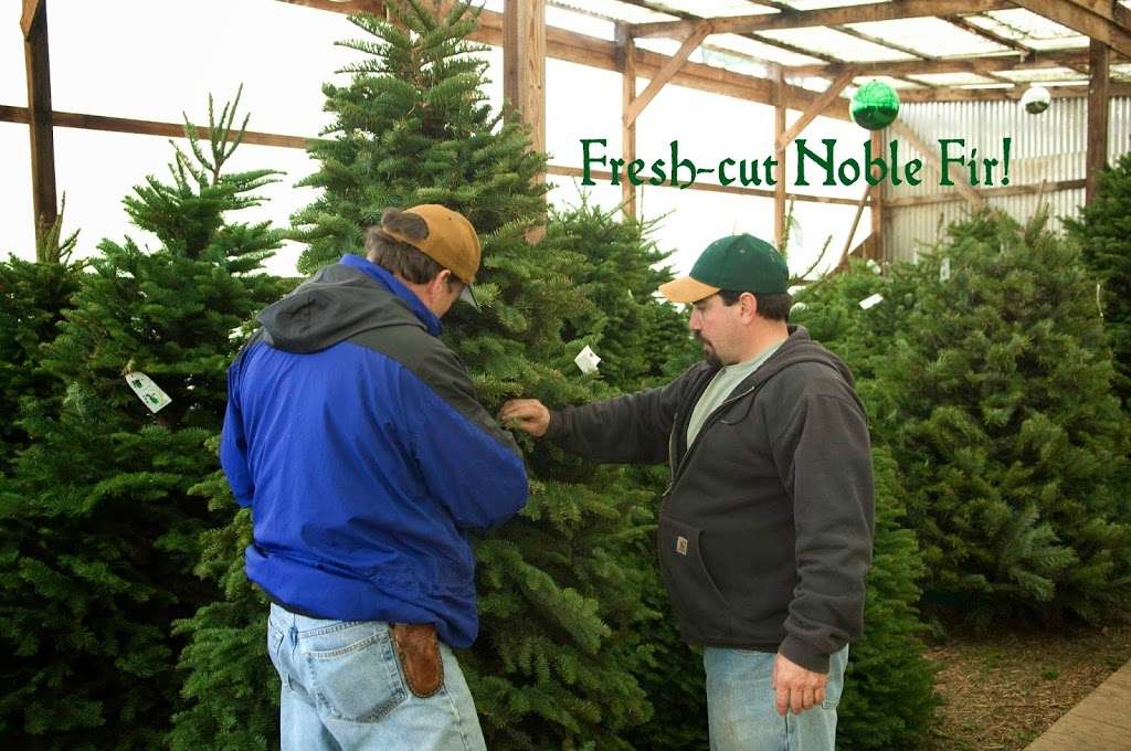 Garlock Christmas Trees | 2275 Bloomfield Rd, Sebastopol, CA 95472, USA | Phone: (707) 823-4307