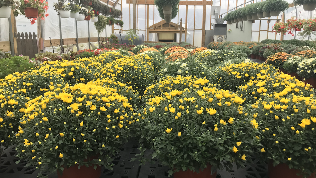 Nesters Greenhouse | 2988, 234 Stanhope Sparta Rd, Andover, NJ 07821, USA | Phone: (973) 398-3841