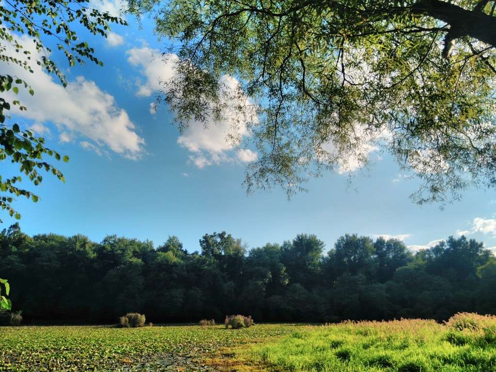 Two Sisters Wetland Preserve Property | Riverside Park, Wayne, NJ 07470, USA