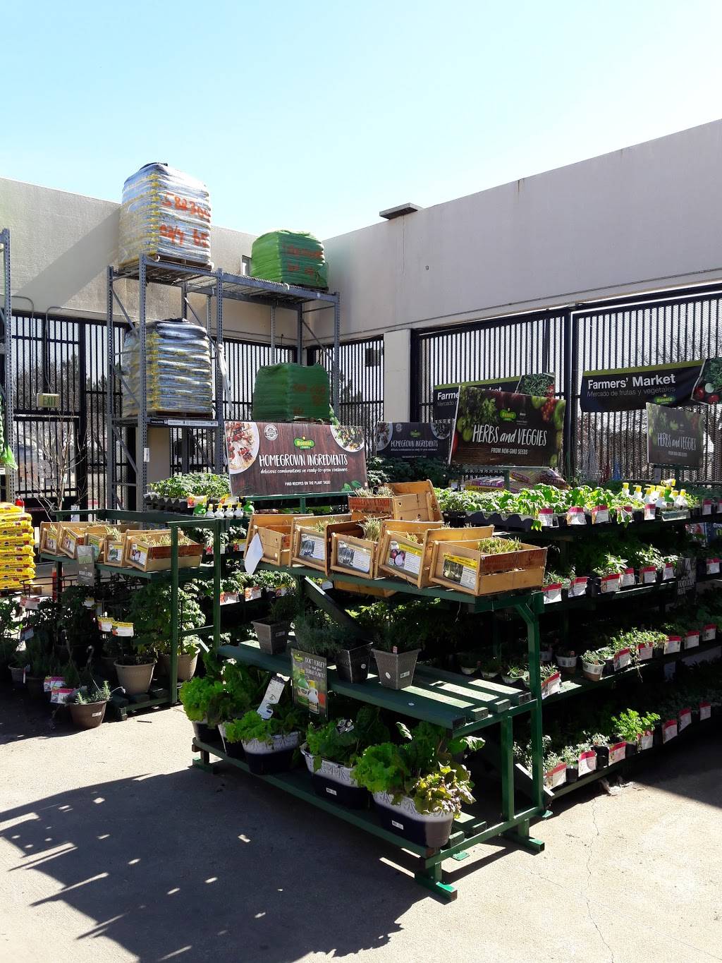 Garden Center at The Home Depot | 8555 Home Depot Dr, Irving, TX 75063, USA | Phone: (972) 506-3006